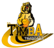 BC_Timba_Timișoara_logo2